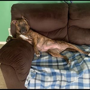 Meet your Posher, Mandy